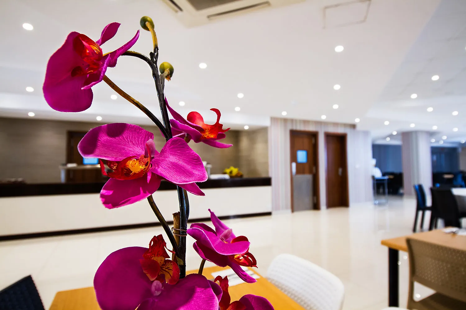 Blubay Apartments By St Hotels Gzira